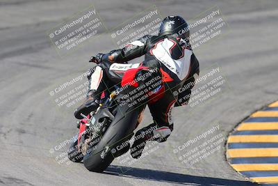 media/Feb-04-2024-SoCal Trackdays (Sun) [[91d6515b1d]]/4-Bowl Backside (11am)/